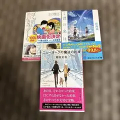新海誠、七月隆文　岡田光世　文庫本まとめ売り