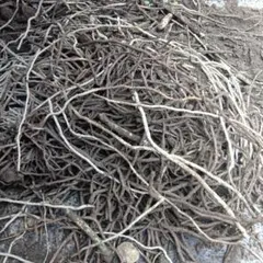 令和8年岩手県産 天然乾燥わらび 1キロ - メルカリ