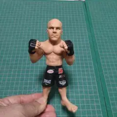 アントニオ・ホドリゴ・ノゲイラ フィギュア MMA 総合格闘技 UFC