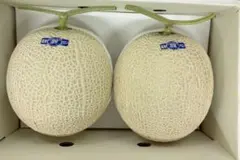 ゆこた様専用高知特産 高級温室メロン 2玉入り箱込み5.7キロ - メルカリ