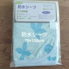 Item thumbnail for item 8b24f92c-bc1b-41c4-94dd-9cd88383d67b