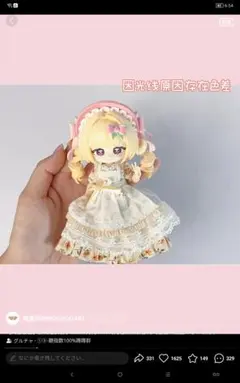 糖指数100% クラファン限定 衣装 アウトフィット 田舎風 シュガー100％