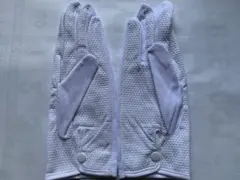 Item thumbnail for item c4b6f065-43b4-4c98-a07e-1beea8d9084c