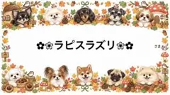 専用