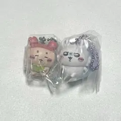 ちいかわ ビスケット マスコット モモン古本屋