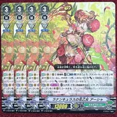 2025年最新】ラナンキュラスの花乙女アーシャの人気アイテム - メルカリ