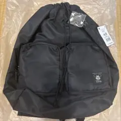 新品未使用タグ付き ディズニーストア バックパック