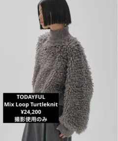 Item thumbnail for item 48d5c7b2-9ece-4501-b830-219d41cb1e90