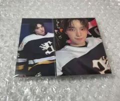 ディノ home 2025 トレカ セルカ 36 96