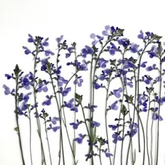 みるくてぃ♪様 リクエスト 3点 まとめ商品