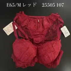 レッド　E65/M ナルエー　ブラショーツセット　25505 107のサムネイル