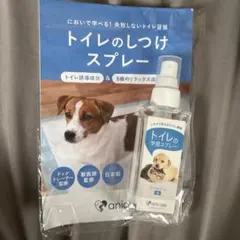 애니케어 토일렛 디스텐션 스프레이 100ml