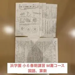 【浜学園】小6 夏期講習 灘コース（Ｍ灘） 小6浜学園 灘コース 夏期講習テキストフルセット 2025年度最新版