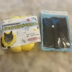 Item thumbnail for item e047fdaa-8a84-4d8c-be8f-35fc71e42cd2