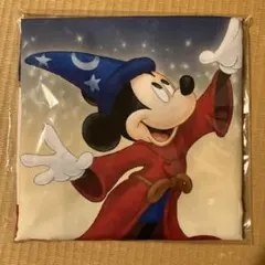 値下げディズニーストア　岡山限定オリジナルトートバッグ