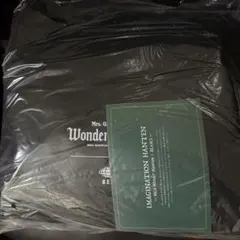 Mrs. GREEN APPLE 半纏 Wonder Museum BEAMS - メルカリ
