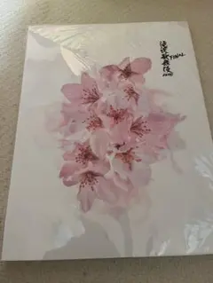 滝沢歌舞伎 Final パンフレット SnowMan 目黒蓮