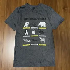 アメリカ古着⭐︎アニマルTシャツ　GILDAN キッズ150cm相当　Sのサムネイル