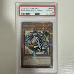 浮世絵ブルーアイズ　psa10