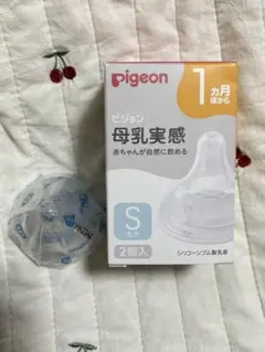 Item thumbnail for item 2e1a638d-0fe5-46cc-8c38-5a24dde78b5c