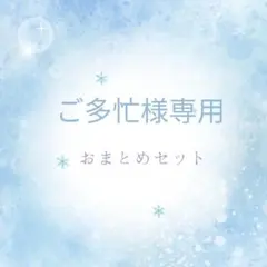 【ご多忙様専用】フェイスカバー マスク セット