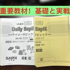 ⑱な　サピックス　SAPIX 小学校4年 国語 ディリーサピックス　基礎と実戦 ⑱な サピックス SAPIX 小学校4年 国語 ディリーサピックス 基礎と実戦