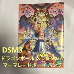 ドラゴンボール スラムダンク マーマレードボーイ 1994年 夏 パンフレットのサムネイル