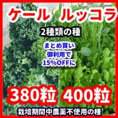 Ange de Tammy様 リクエスト 2点 まとめ商品