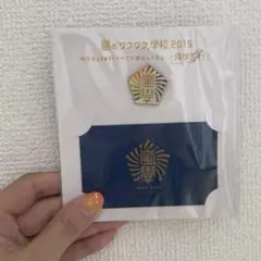 嵐のワクワク学校2019 ピンバッジ