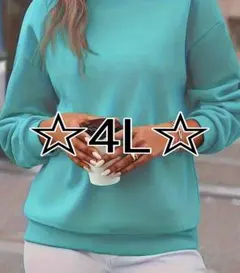 大きいサイズ★鮮やか色★裏起毛スウェット トレーナー(3XL)