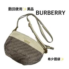 【美品✨️】 BURBERRY ショルダーバッグ 希少価値‼️