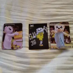 サンロッカーズ渋谷 サンディー カード ファングッズ 3枚