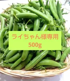 専用★ライちゃん様