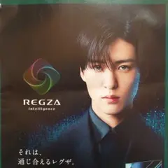 ★早い者勝ち！限定非売品レグザREGZAテレビパンフ目黒蓮推しのファンの人に！ 2026年最新】REGZA 目黒蓮の人気アイテム - メルカリ