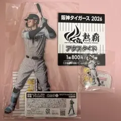 阪神タイガース アクスタくじ 2026 熱覇 A4アクリルプレート