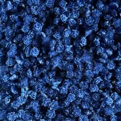 ケイ様 リクエスト 2点 まとめ商品