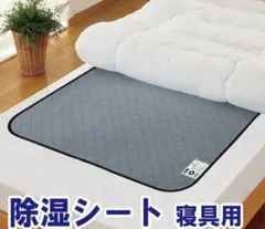 Item thumbnail for item 225dd904-9200-41e4-8aff-83c06a1709b1