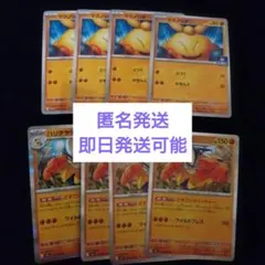 マクノシタ ジムプロモ ハリテヤマ 4枚セット