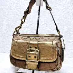 COACH コーチ レオパード ヒョウ柄 オセロット 2way 肩掛け可 y2k