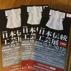第73回 日本伝統工芸展 京都展 招待券 3枚