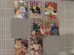 【匿名発送】猫カフェMOCHA にゃんずトレカ　立川店
