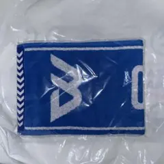 大阪ブルテオン バレーボール