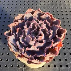 azzuhime様 リクエスト 4点 まとめ商品