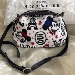 新品 フェイラー✖️ディズニー コラボ ミッキー&ミニーマウス 