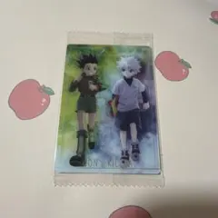 HUNTER×HUNTER ハンターハンター イタジャガ　ゴン　キルア