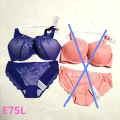アモスタイル ホープブラ ライト ローズアート ブラショーツセット E75L