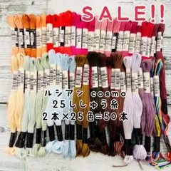 ★SALE★ルシアン コスモ 刺繍糸 25色 各2かせ 計50本セット B