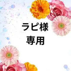 ラピ様 リクエスト 2点 まとめ商品