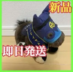 稀少】テイエムオペラオー天皇賞競馬ぬいぐるみウマ娘アイドルホース馬