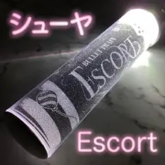 超特急 ESCORT ペンライト リョウガ - メルカリ